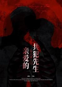 共犯先生txt