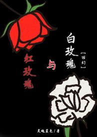 红玫瑰白玫瑰经典语录