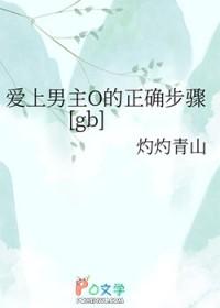 爱上男主角的韩剧