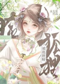 被狐狸精迷住的人