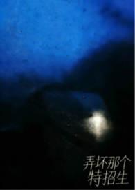 弄坏那个特招生完结