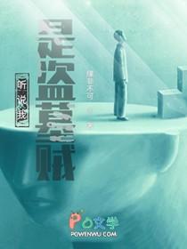 盗墓之我是阿宁