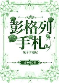 彭格列手札txt电子书