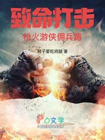 致命打击枪火游侠佣兵路无防盗零点看书