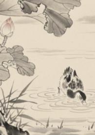 全京城都在等我出续集txt