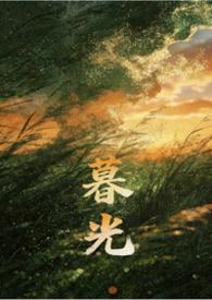 暮光作者