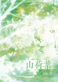 山荷叶药用价值