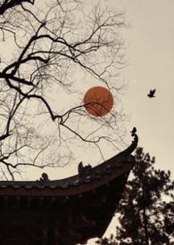 雀儿哥什么病