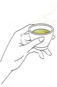 重生后宋先生把我宠上天