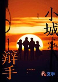 小城辩手txt