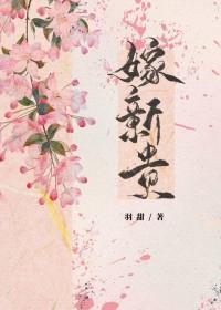 嫁新贵羽甜TXT