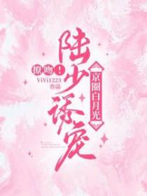 陆少追妻暖又甜