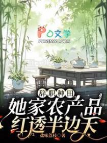 辞职回家种田文