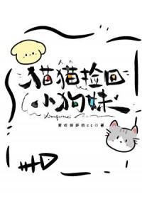 捡小猫回家吉利吗