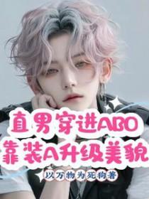 直男穿越