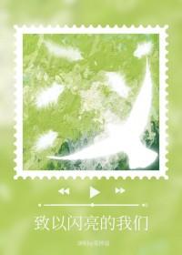 致闪闪发光的你