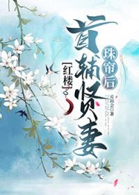红楼首辅贤妻珠帘后txt
