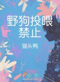 野狗为什么喂不熟