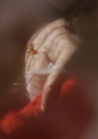 狐狸 文集