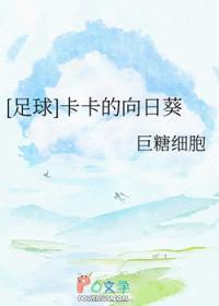 卡卡的足球生涯
