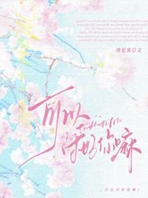 可以讨好你嘛txt