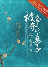 被争夺的妻子 作者瓜子和茶