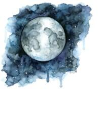 水星坠落时作者小眼睛的