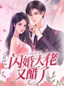 闪婚大佬娇宠甜妻