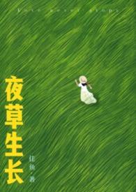 夜草是什么意思