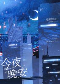 今夜晚安的句子