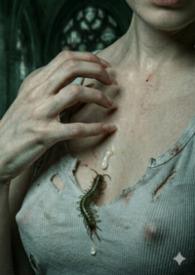 圣玛利亚是什么意思