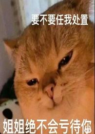 论女a与哨向的兼容性林与夜简介