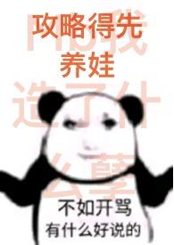 攻略完结