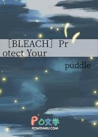 bleach lofter