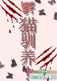 野猫的驯养法则