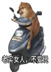 老实女人不爱玩快穿nph