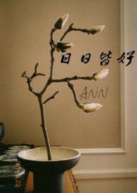 日日皆平安下一句