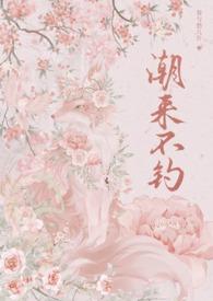 潮来潮去的意思