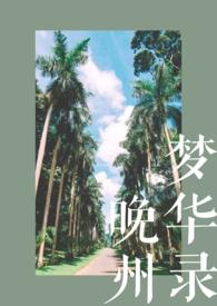 晚州梦华录在线