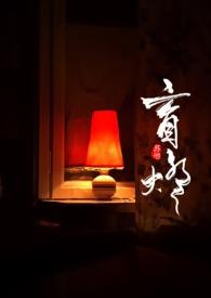 盲灯by苏他讲的是什么