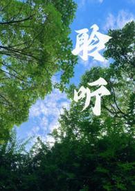 聆听(校园1v1)po