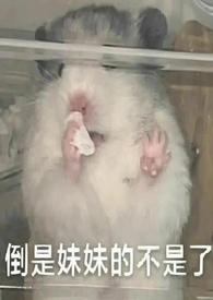 她太投入(骨科gl)