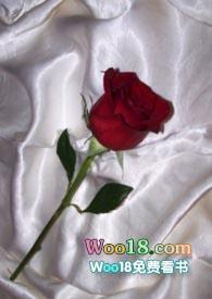 和联姻对象做炮友(1v1 h)