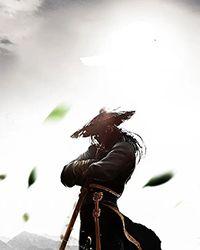 综武之大姐姐们有点多