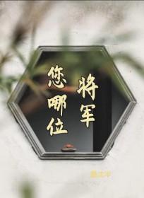 将军,您哪位
